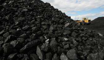 Sem poder usar carvão originário das matas nativas de Minas, siderúrgicas estariam importando