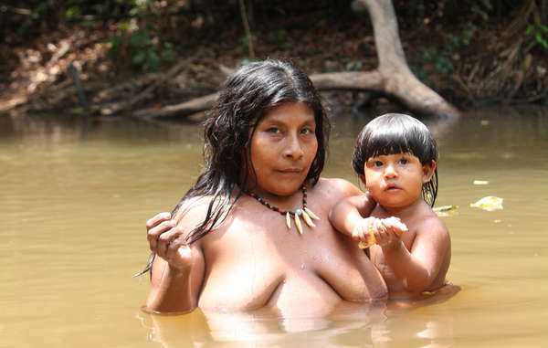 Os Awá são a tribo mais ameaçada do mundo. © Survival