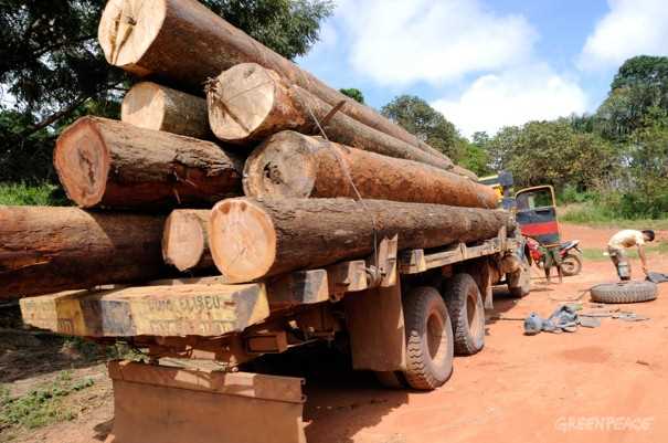 Carregamento de madeira no Maranhão, próximo a terras indígenas. A exploração no entorno e no interior das áreas é comum. Foto: ©Greenpeace/Ismar Ingber/Tyba
