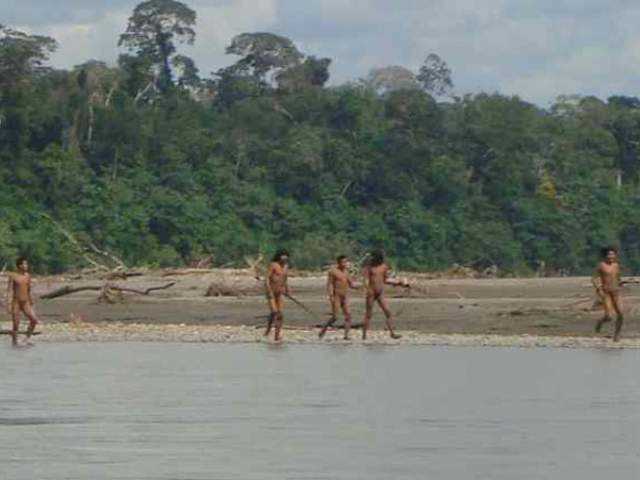 Indígenas avistados en agosto de 2011 por turistas en Madre de Dios: PRI /Angela Pachari. Fuente: RPP