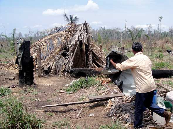Fazenda Sonho Meu, onde trabalhadores estavam alojados em barraco de palha, em Rondônia. (Foto: MPT)