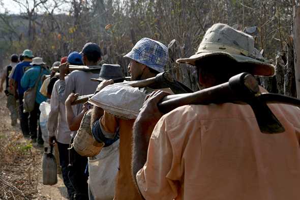 Grupo de trabalhadores resgatado do corte de madeira para a produção de carvão vegetal, no Ceará (Foto: MTE)