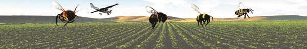 Contra lobby da indústria, Ibama tenta limitar o uso de inseticidas nocivos às abelhas