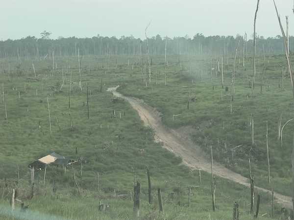 Floresta substituída por pasto através de mão de obra escrava no Pará (Foto Leonardo Sakamoto)