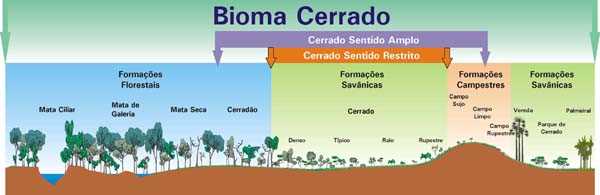 Tipos de Vegetação do Bioma Cerrado. Fonte: Embrapa