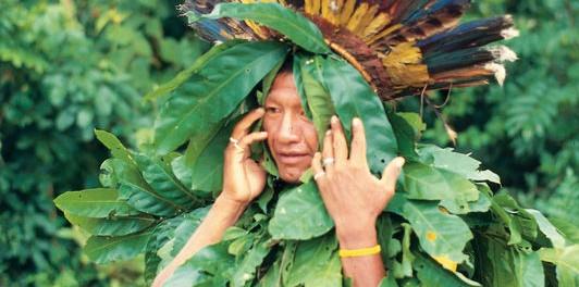 Homme au cours d'une présentation cérémonielle Yanomami. Amazonas, 1997. Luis Donisete Benzi Grupioni