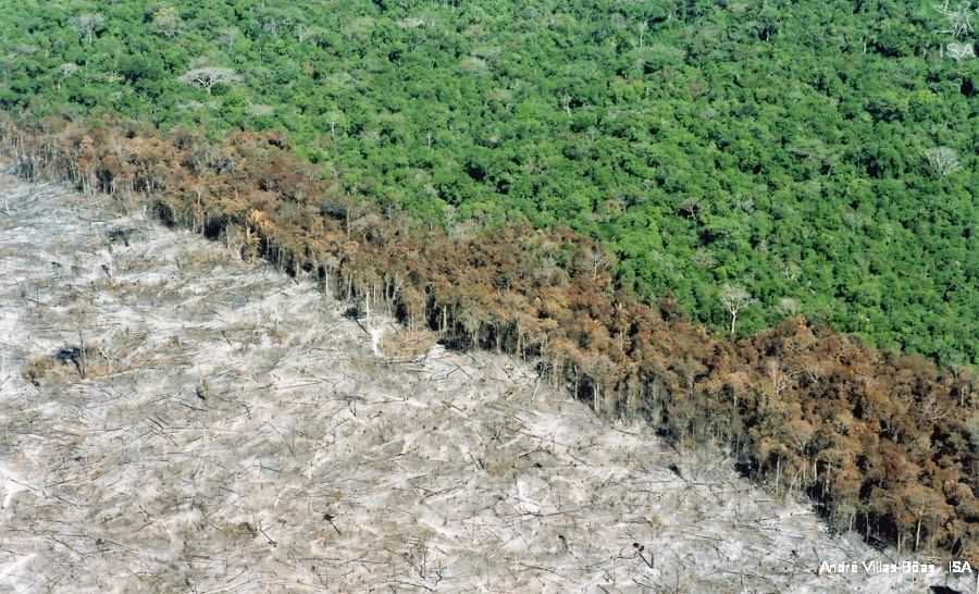 Foto: Desmatamento na fronteira do Parque Indígena do Xingu - MT. Por André Villas-Bôas (ISA)