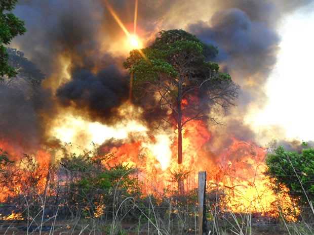 Focos de queimadas tomam conta de parte da área desde o mês passado (Foto: Centro Especializado Prevfogo/ IBAMA.)