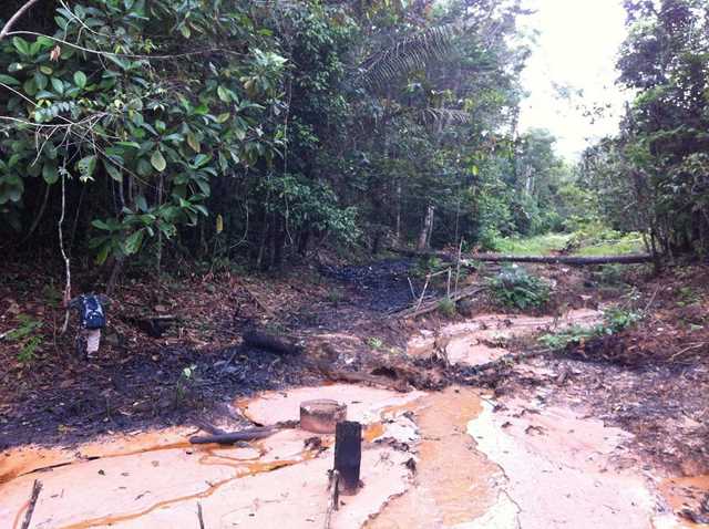 Nuevos estudios revelan daño generado por la actividad petrolera en numerosas cuencas de la Amazonía. Imagen referencial.