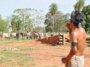 Trabalhadores retiraram gado após ocupação (Foto: Tatiane Queiroz/G1 MS)