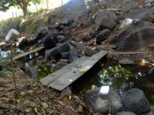 Riacho onde os trabalhadores se banhavam (Fotos: Divulgação / MTE)
