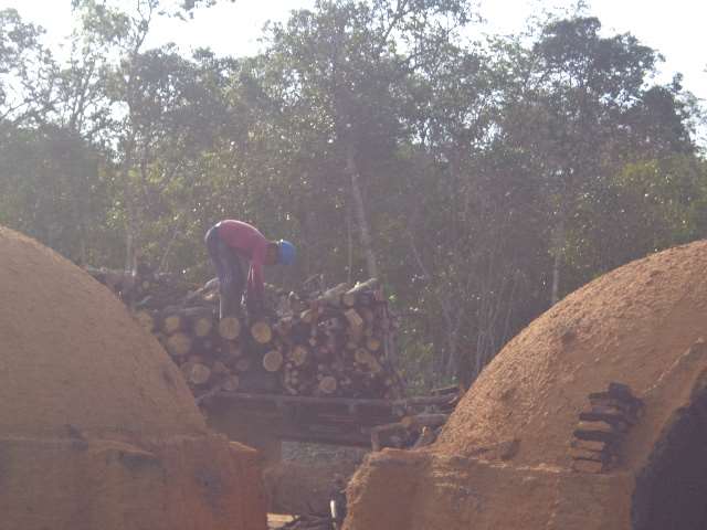 Carvoaria e caminhão despejando madeira