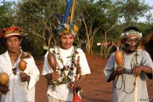 indios guaranis2_survival