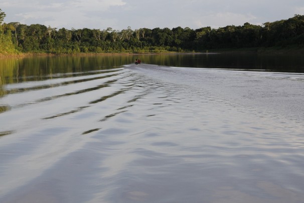 Margens preservadas do rio Purus despertaram interesse pela venda de carbono. Fotos: Verena Glass
