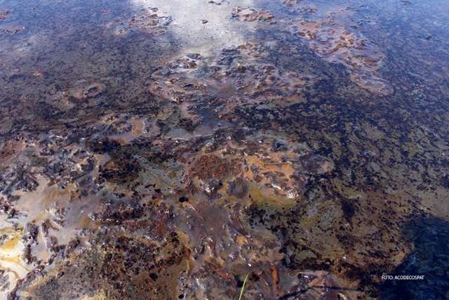 Lo que antes fue una laguna hoy se ha convertido en un inmenso charco de petróleo. Cuenca del río Marañón. Foto: Acodecospat.