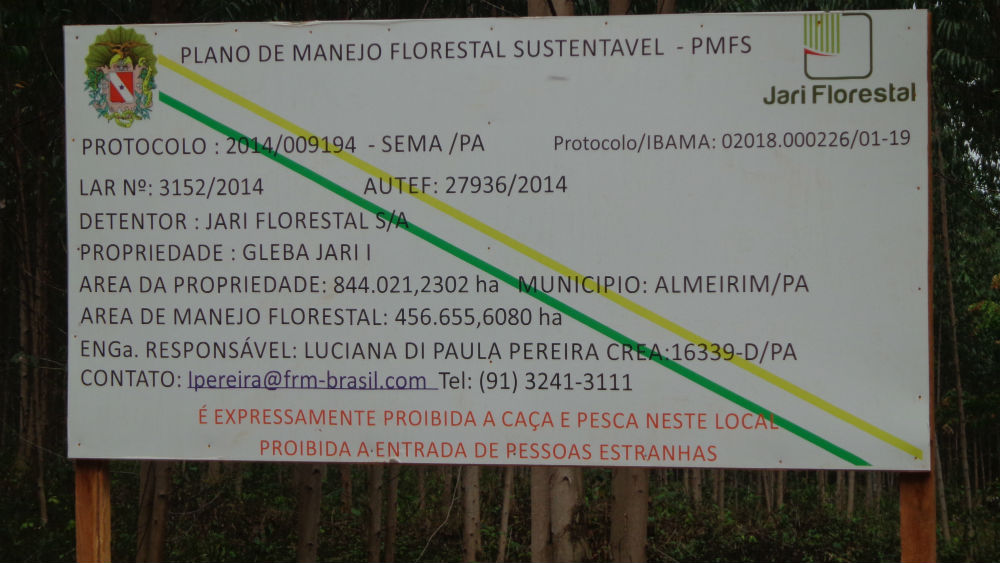 Projeto de extração de madeira de lei da Jari na área de coleta de castanha da comunidade / Foto: Rogerio Almeida