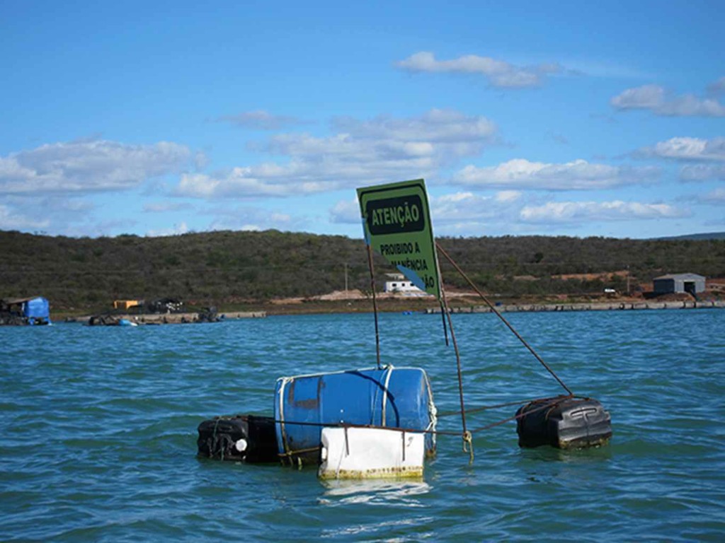 itapacarica pesca