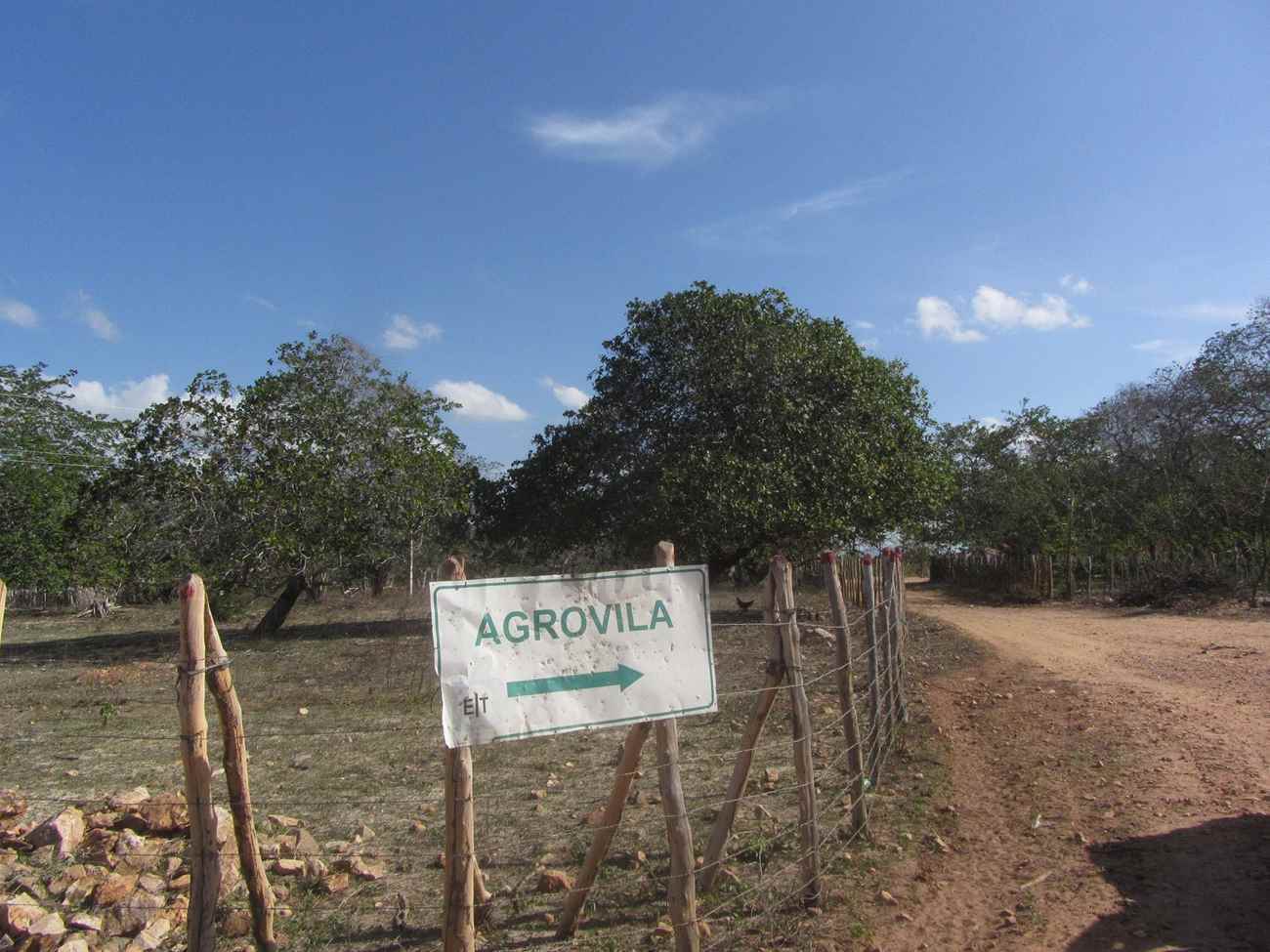A agrovila da Gameleira fica a aproximadamente 16 km da área urbana do município de Itapipoca, para onde vai a água do açude que desalojou as famílias. (Foto: Ciro Barros)