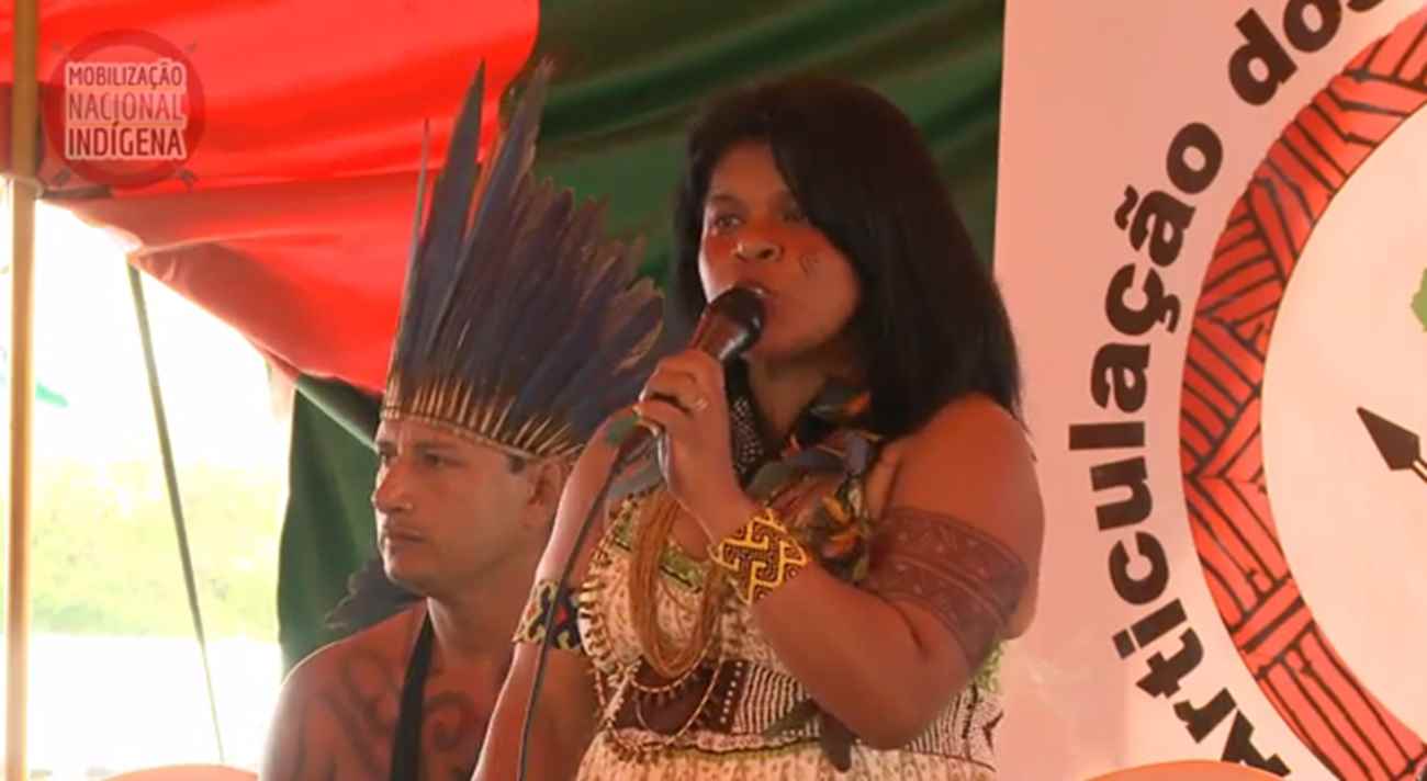 mobilização indigena 2015 sonia