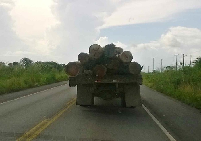Indígenas flagraram caminhão transportando madeira no sábado (23) na rodovia BR-316