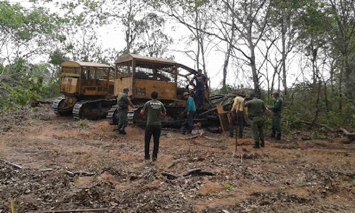 Servidores da FUNAI e Polícia Ambiental  flagram homens desmatando áreas limítrofes à T.I. Apinajé. (foto: Marcelo G. Brasil/funai. Set. 2014)