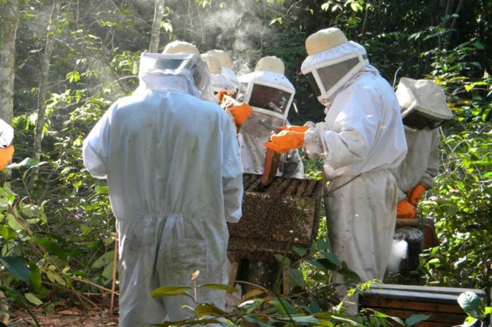 O campeonato celebrava os 15 anos do projeto de apicultura. Créditos: Marcelo Martins