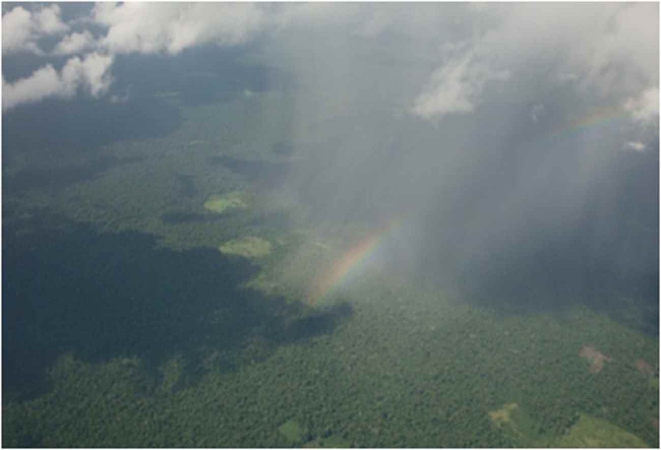 Chuva sobre a Floresta no alto Juruá - Fonte: Arquivo pessoal. Foto: Erika Mesquita
