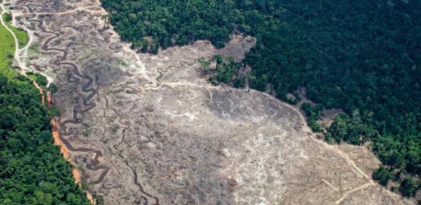 Área desmatada na região de Belo Monte – Foto: André Villas-Bôas/ISA