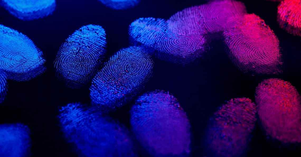 Pochmann : Os dados do Brasil em mãos privadas - Combate Racismo Ambiental